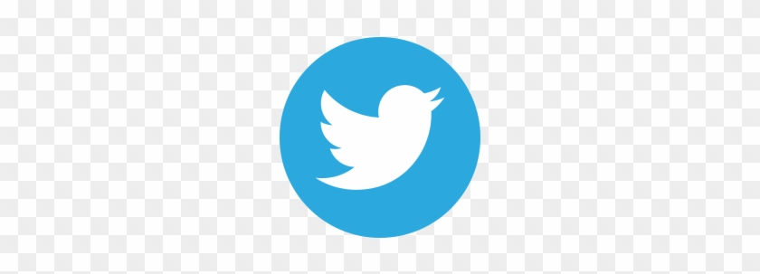 Twitter 2012 Positive - Twitter Logo 2016 Vector #789273