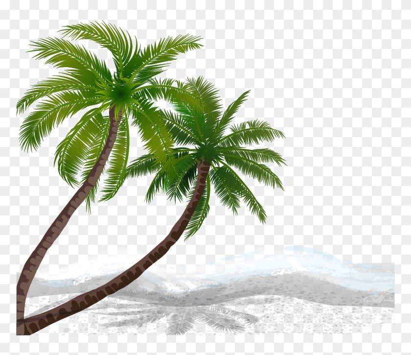 Vector Coconut Trees 1008*757 Transprent Png Free Download - Vector Coconut Trees 1008*757 Transprent Png Free Download #789708