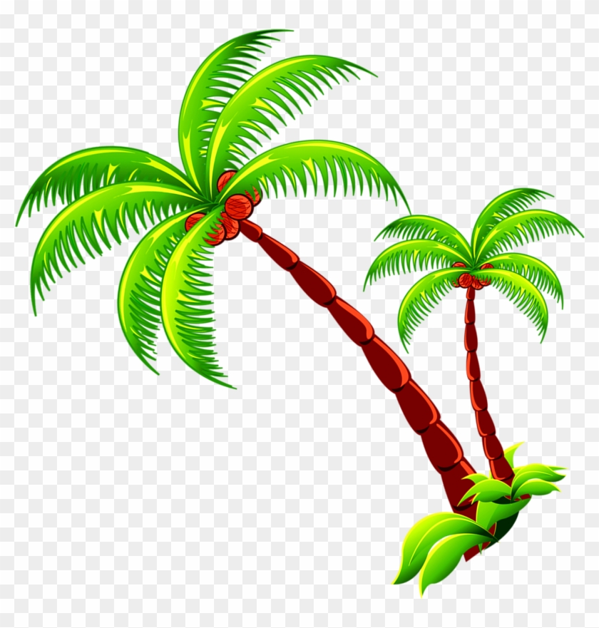 Coconut Tree Branch - Coconut Tree Branch #789769