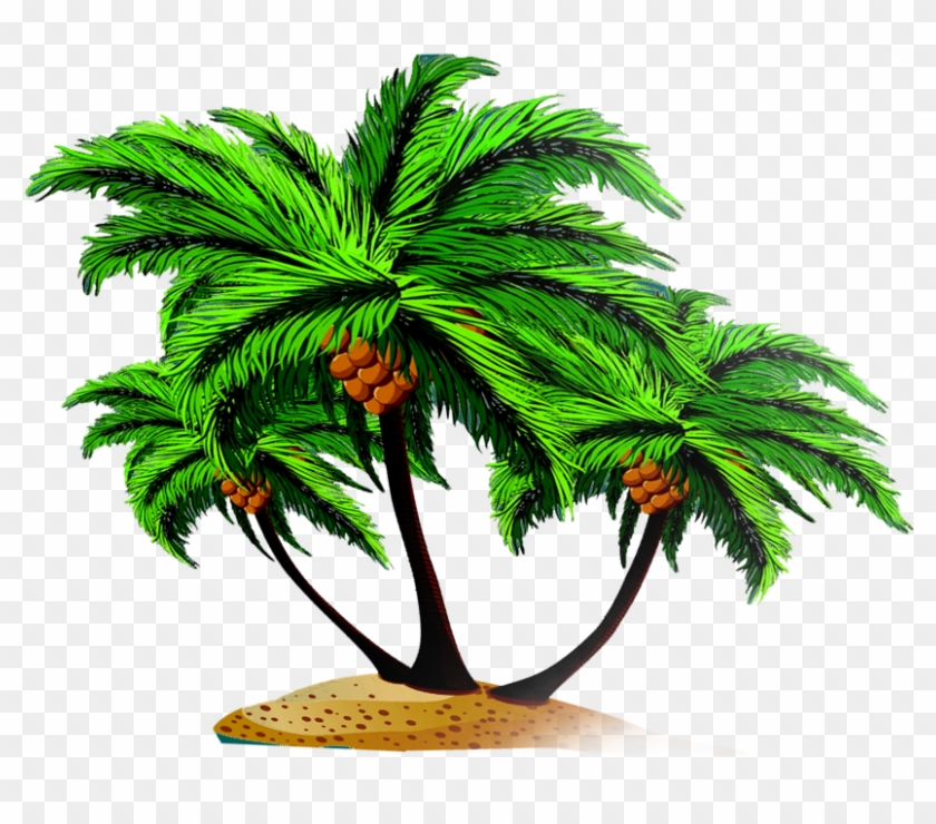 Arecaceae Coconut Tree Euclidean Vector - Arecaceae Coconut Tree Euclidean Vector #789783