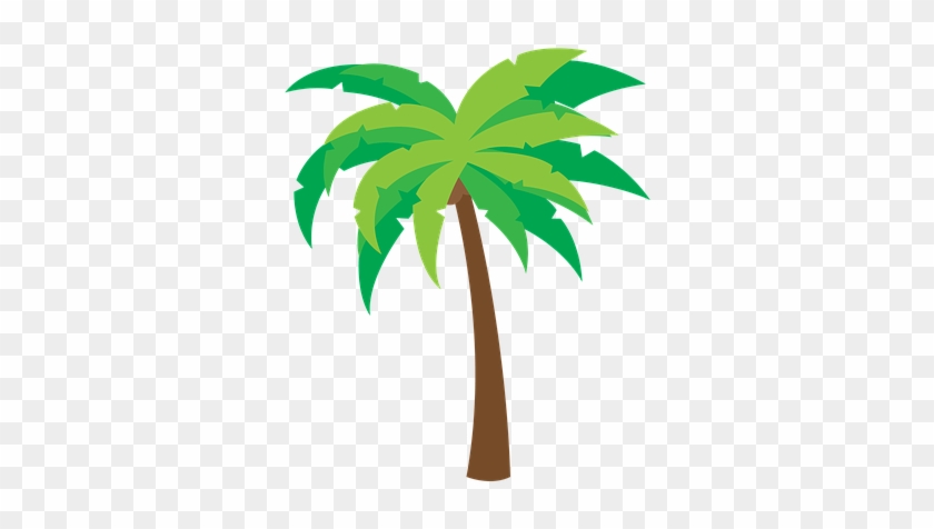 Coconut-tree - Trees Icon Png Palm #789770