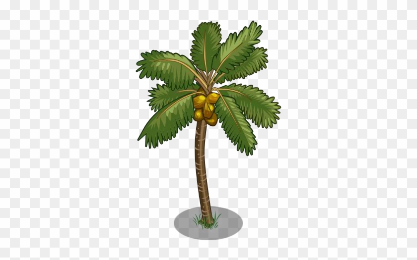 Golden Malayan Coconut Tree2-icon - Coconut Tree With Coconut Png #789786