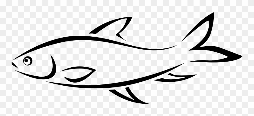 outline drawings of fish