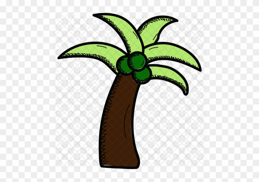 Coconut Tree Icon - Coconut #790031