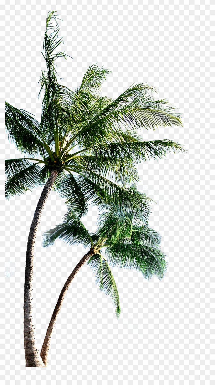 Island Clip Art - Beach Png Background #790035