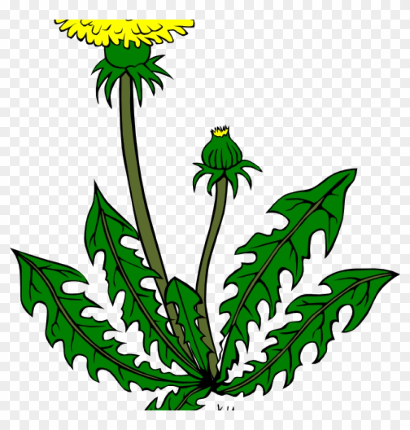 Weed Clipart Dandelion Weed Clip Art At Clker Vector - Dandelion Clip Art #790038