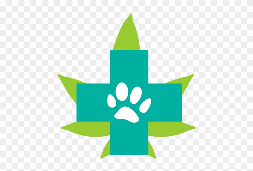 Cannabinoids Endocannabinoid System Pets Dogs Anxiety - Cannabinoid #790143