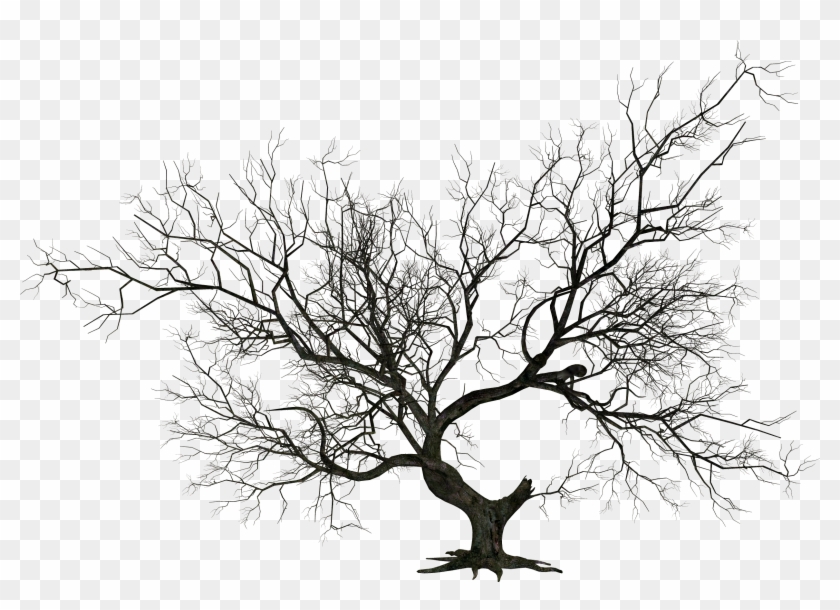 Png Halloween Tree - Wicked Tree Clip Art #790230