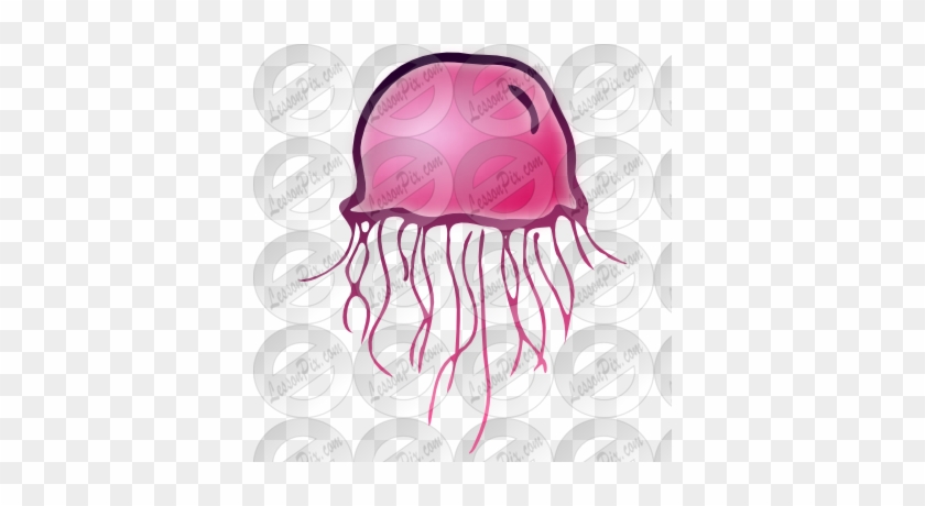Jellyfish Clipart - Drawing #790250