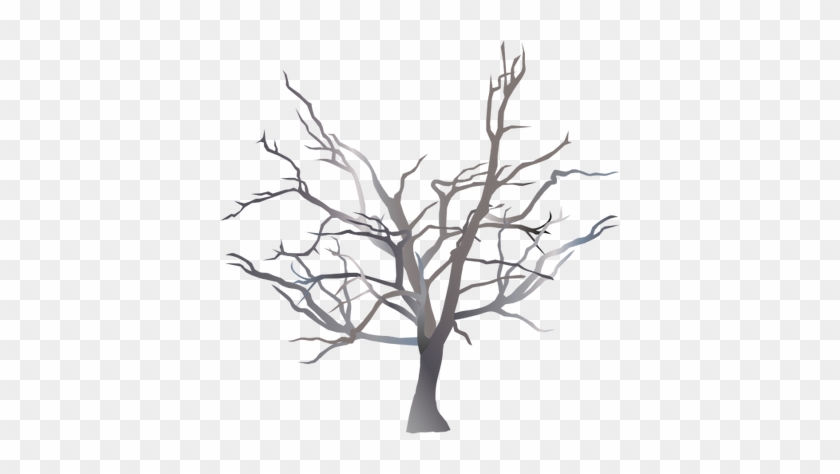 شجرة بدون اوراق للتلوين