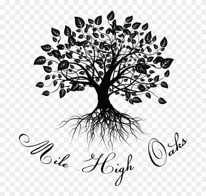 The Mile High Oaks Story - Illustration #790325