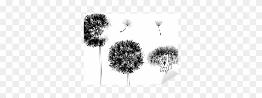 Three Isolated Black Dandelions Illustration Sticker - Dandelion #790328