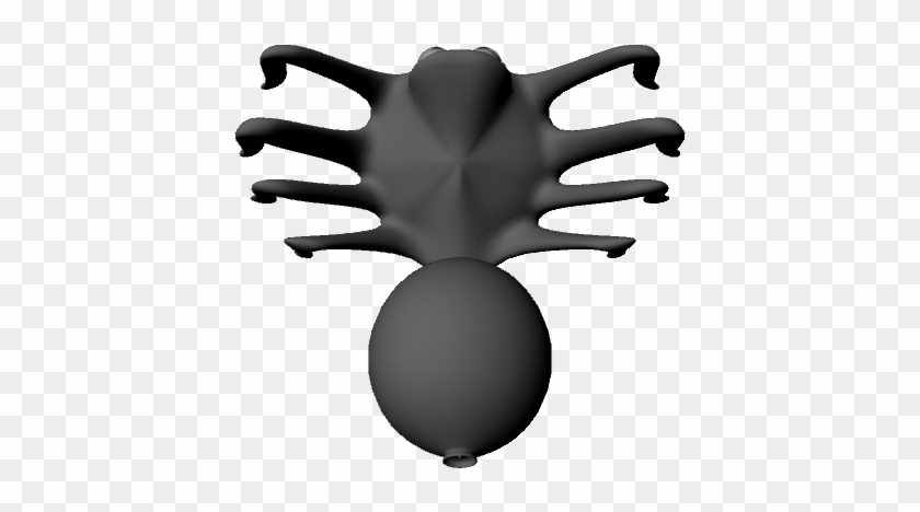 Share This 3d Model - Spider #790401