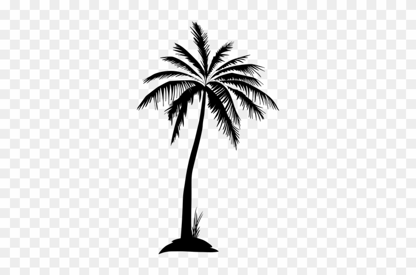 Black Isolated Palm Tree Silhouette - Palm Tree Transparent Background #790489