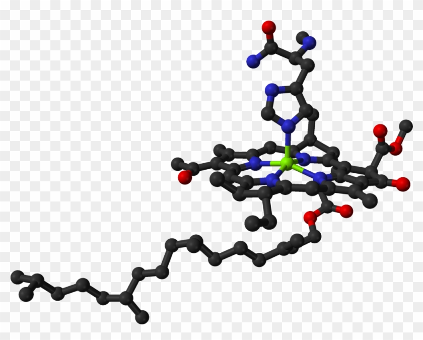 Chlorophyll In Protein 3d Balls - 3d Model Of Chlorophyll #790554