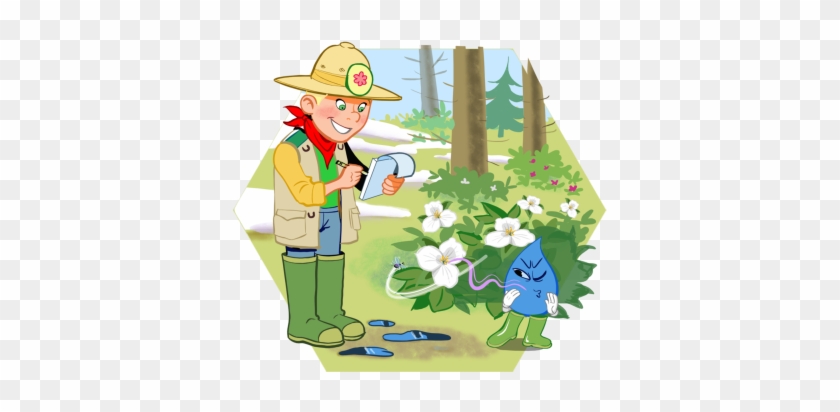 Flowers - Biotope - Full Size PNG Clipart Images Download