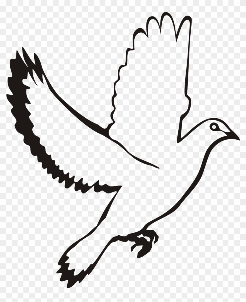 White - Flying Dove Vector Png #790634