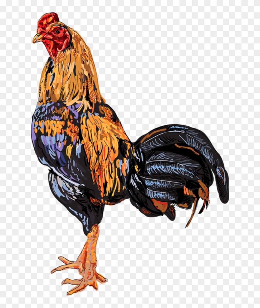 Quality Clip Art Of Animals That Live On A Farm - Cock #790783
