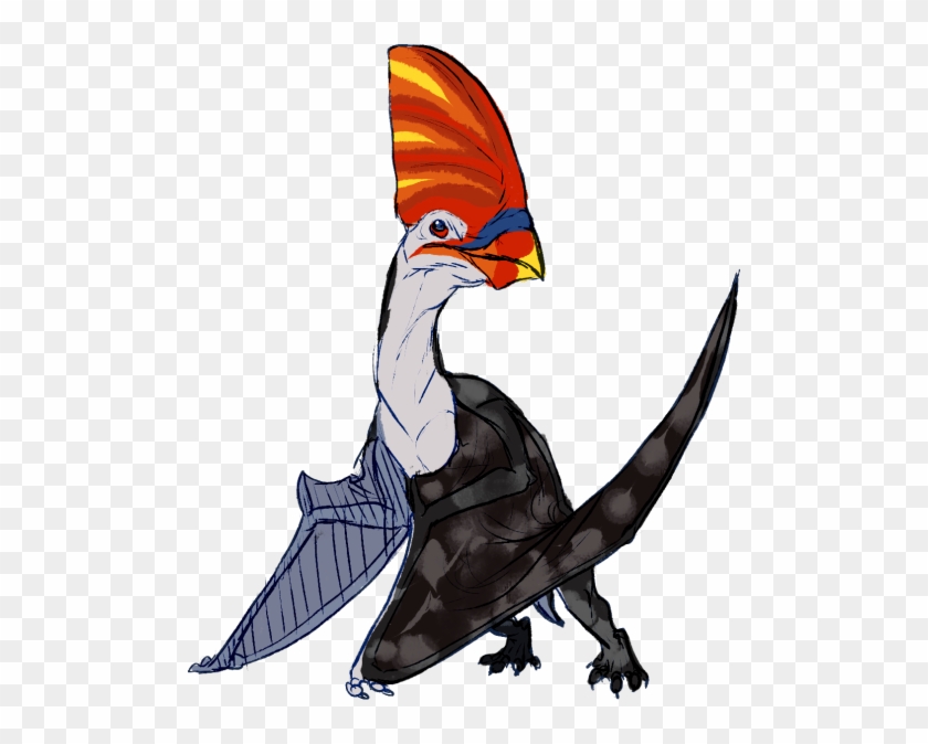 Bird Of Prey Beak Clip Art - Bird Of Prey Beak Clip Art #790893