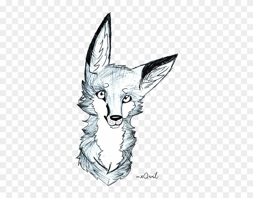 Fox - Fox Pen Drawing #790855