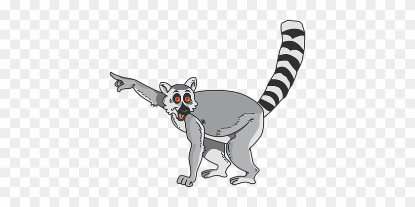 Lemur Animal Comic Madagascar Lemur Lemur - Lemur Comic #790883