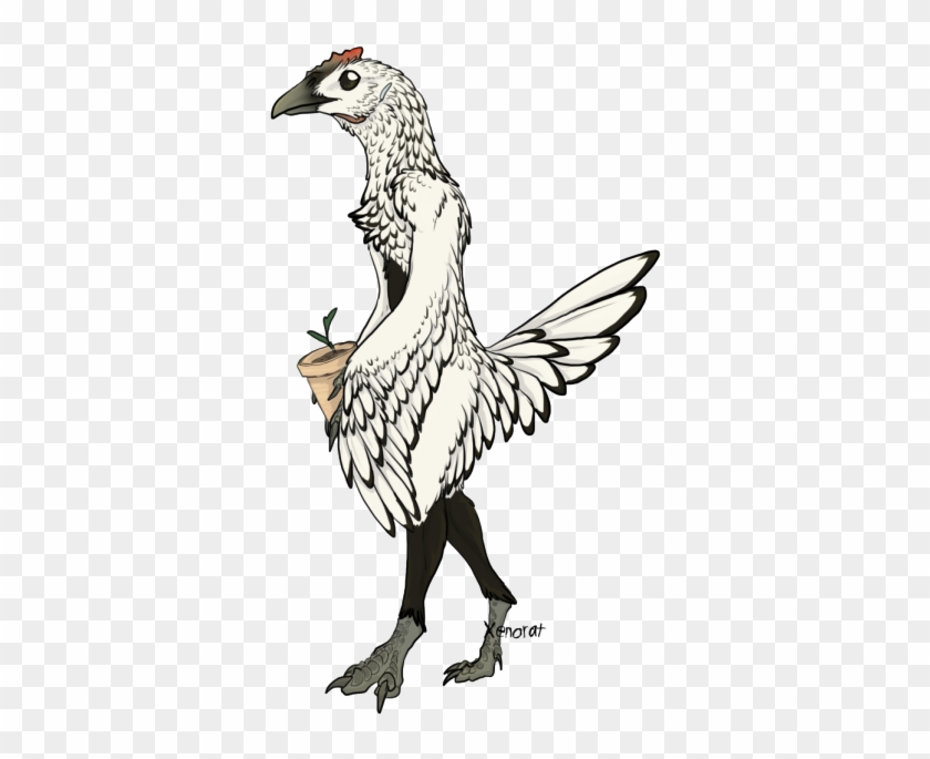 Sebright Chicken Anthro Of Ambiguous Gender - Sebright Chicken #790889
