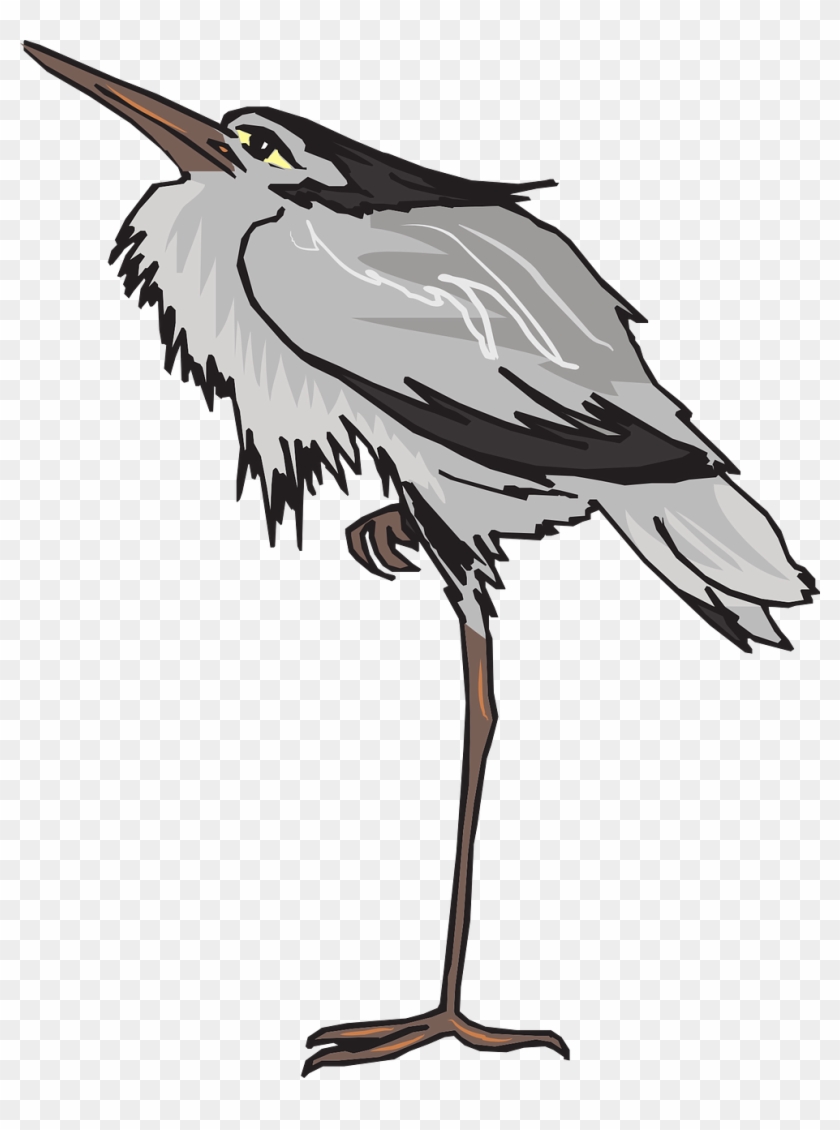 Bird Heron Crane Leg Clip Art - Bird Heron Crane Leg Clip Art #790971