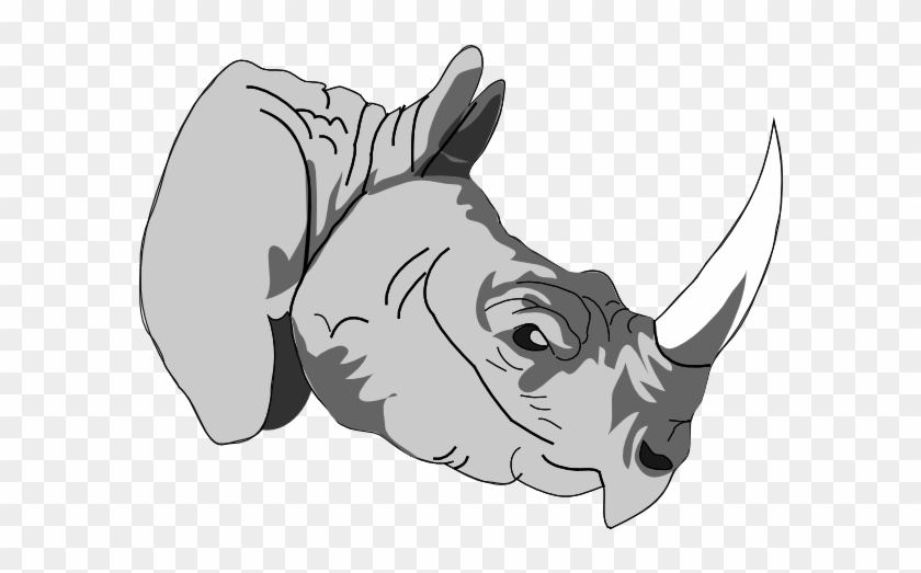 Rhino Horn Clipart Png #791000