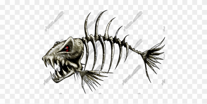 Skeleton Fish Art I Dig Pinterest Skeletons, Fish And - Fish Skeleton Drawings #791134
