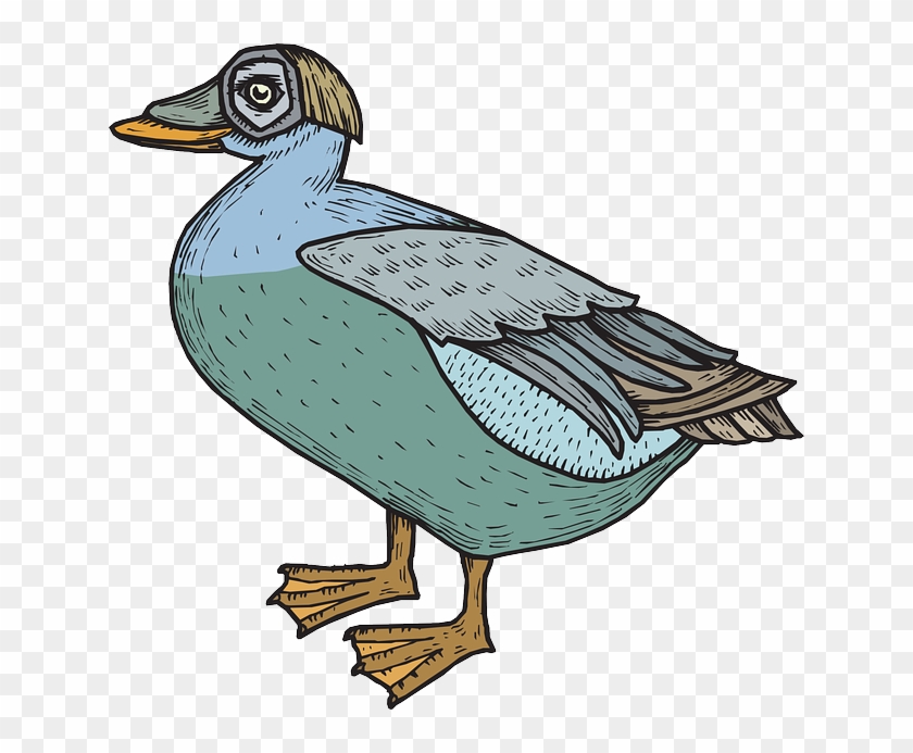 Green, Blue, Bird, Duck, Wings, Standing, Feathered - Duck #791173