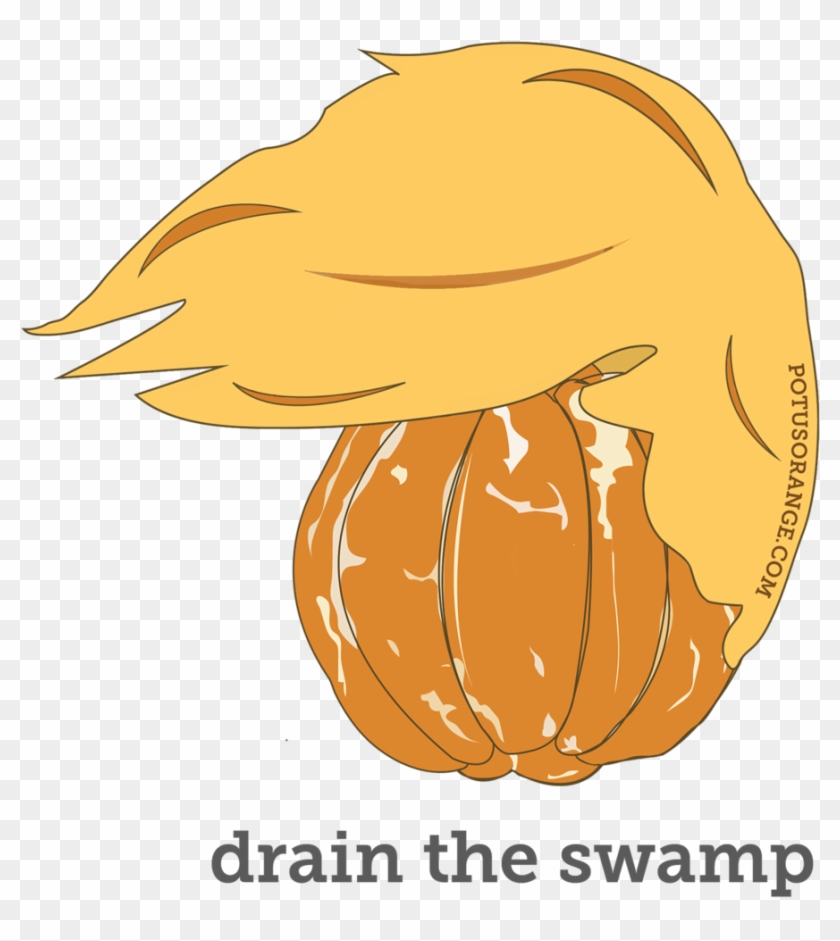 "drain The Swamp" - Sleeve #791183