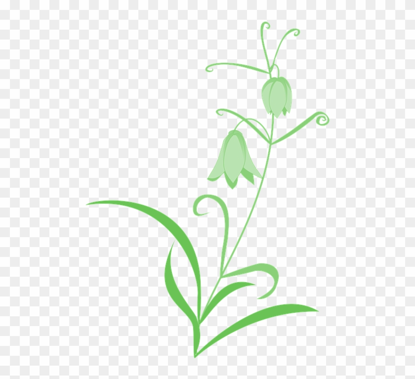 Lily Pad Clipart 11, - Fritillaria Verticillata #791337