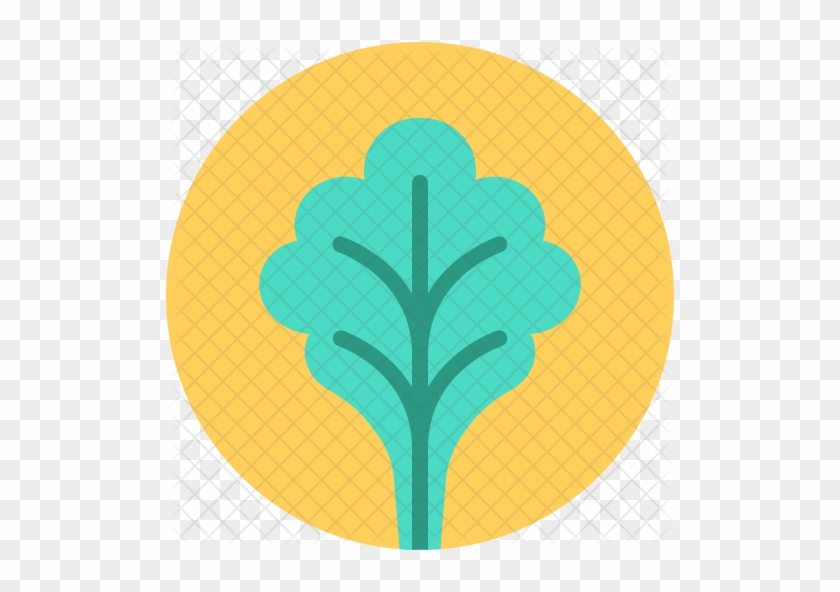 Spinach Icon - Icon #791453