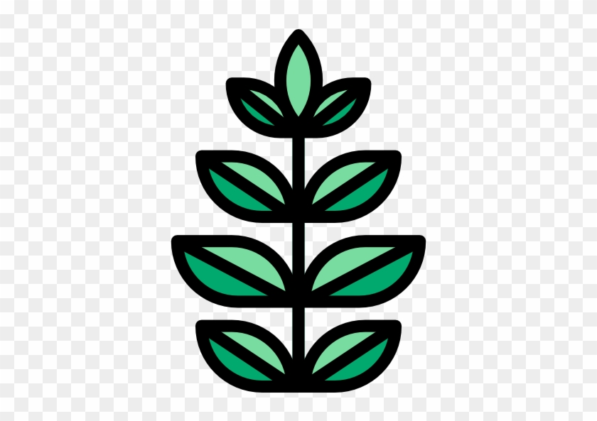 Spinach Free Icon - Herb #791466