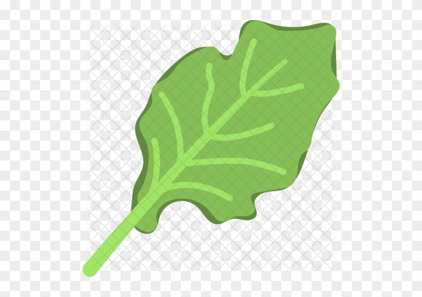 Spinach Icon - Spinach #791478