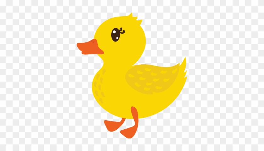 Duck - Colores Para Niños De Animale #791623