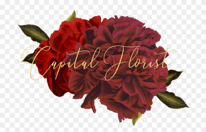 Capital Florist - Capital Florist #791653