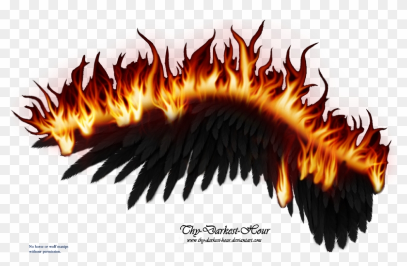 Wings On Fire - Black Wings On Fire #791808