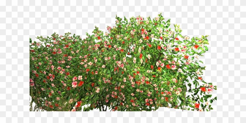 Rose Bush Png For Kids - Flower Garden Png #791953