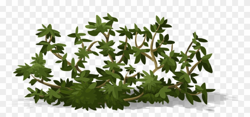 Bush Svg - Shrub #792011