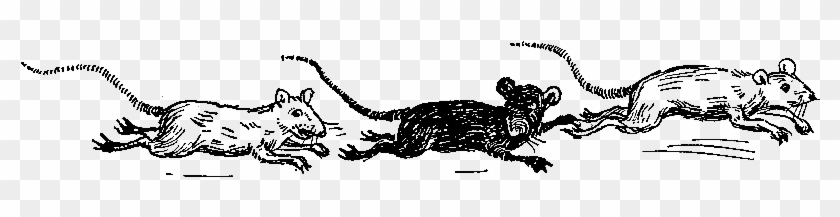I Found This Vintage Animal Illustration In A Child's - Illustration #792209