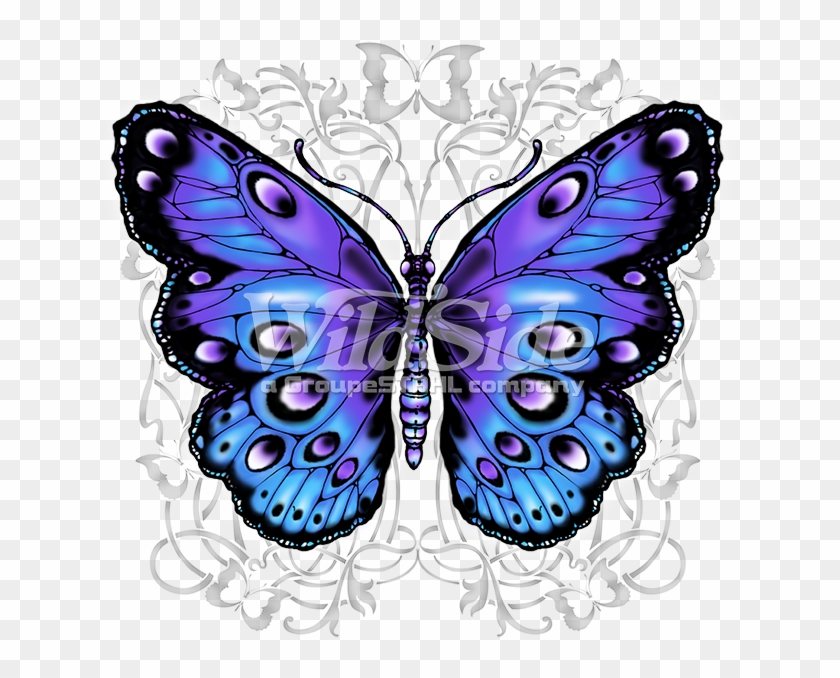 Blue And Purple Butterfly - Blue And Purple Butterfly #792406