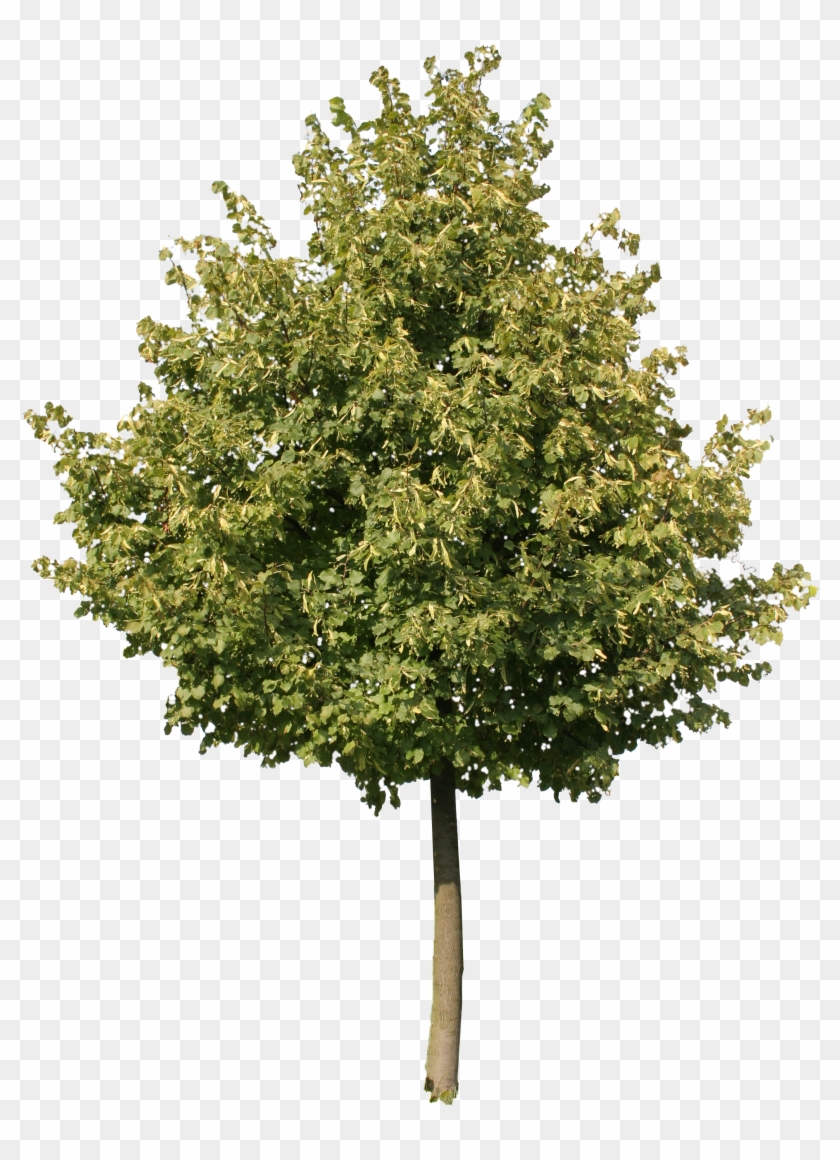 2d Trees - 2d Trees #792530