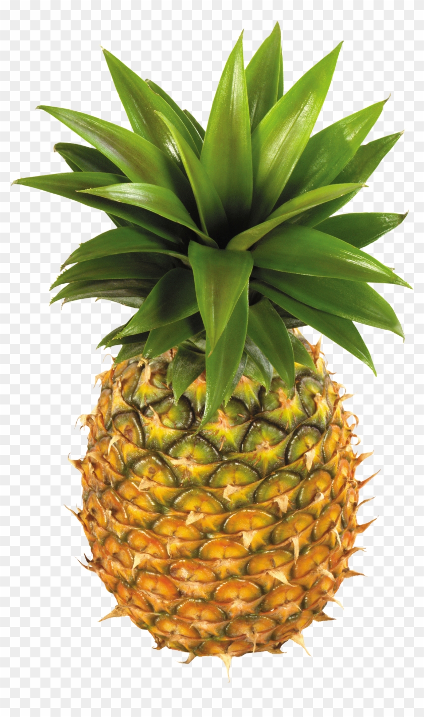 Pineapple Fruit Png Clipart - Pineapple Fruit Png Clipart #792635