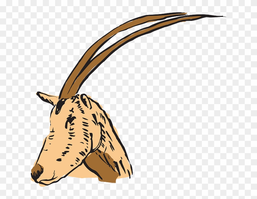 Antelope Head, Art, Forest, Long, Horns, Animal, Antelope - Horn #792794