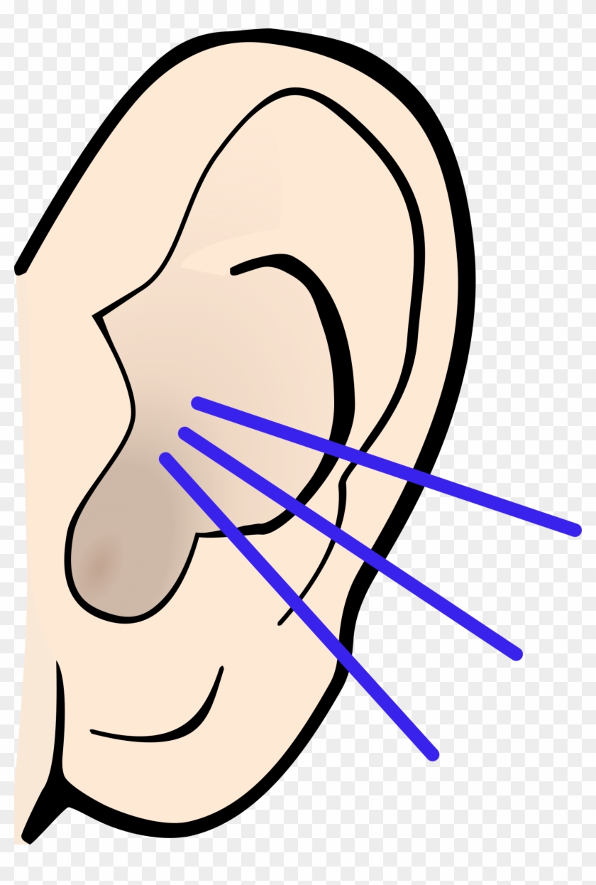 Hearing Clip Art - Hearing Clip Art - Free Transparent PNG Clipart Images  Download