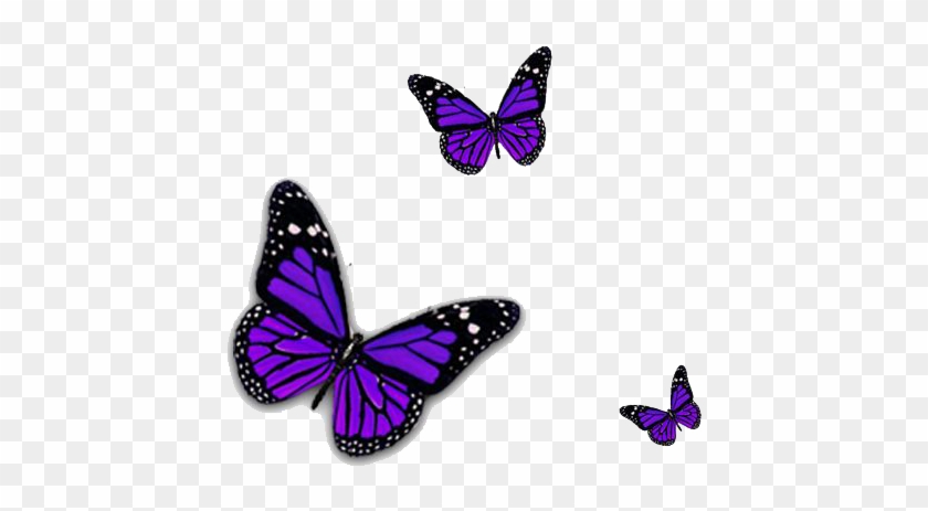 Purple Butterfly Png Transparent Image - Purple Butterfly Transparent #792873