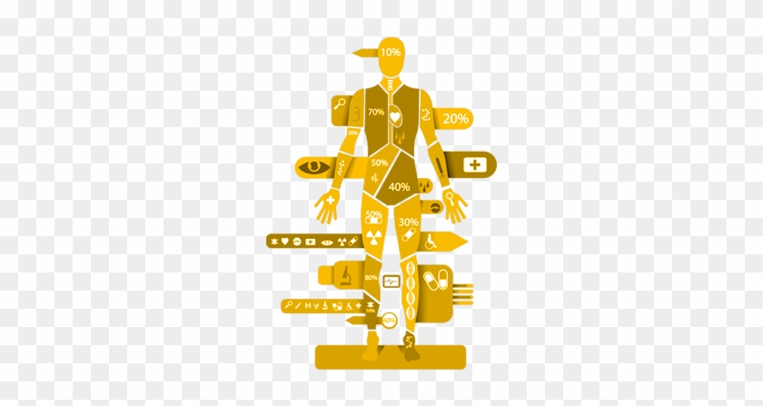 Análisis Biométrico - Human Body #792921