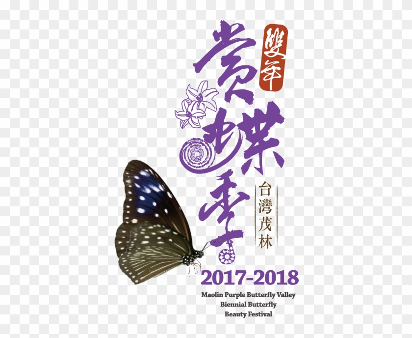 茂林雙年賞蝶季 - Limenitis #792929