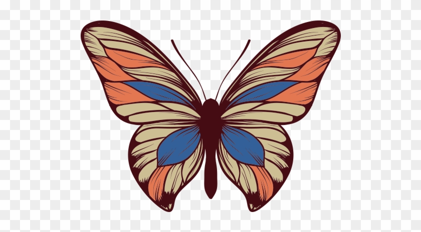 Monarch Butterfly Insect - Kelebek Telefon Duvar Kagitlari #792956
